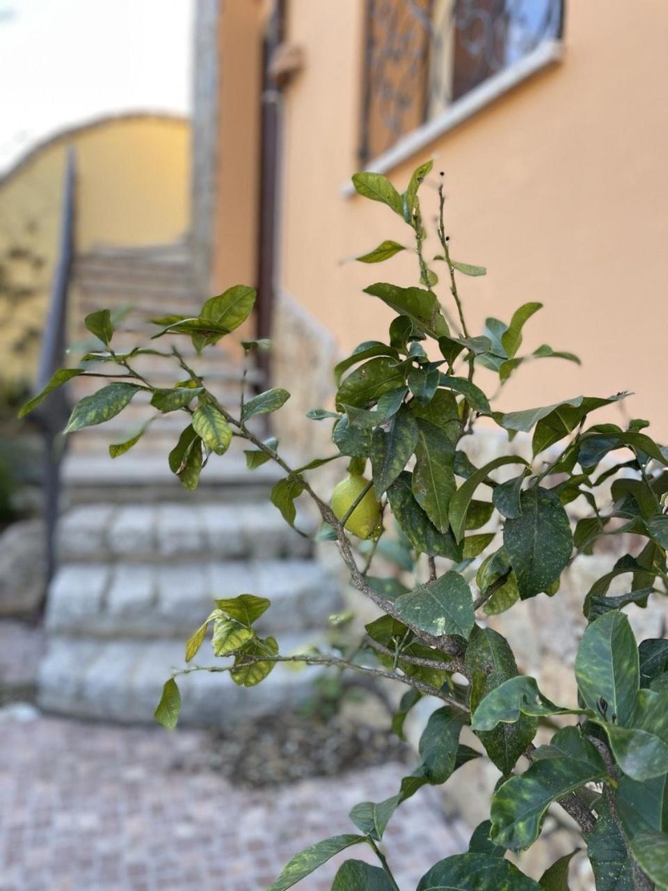 Casa Ada Holiday home *
